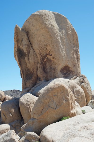 There are lots of large rocks in the area to explore. They all have unique characteristics.