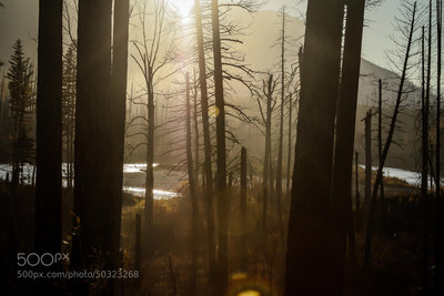 Views near the Flathead River are breathtaking.