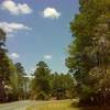 A country road on MST Segment 12B coming into Roseboro. Photo by PJ Wetzel, www.pjwetzel.com.