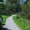 The Juan Bautista de Anza Trail as it departs from Arastradero Road.