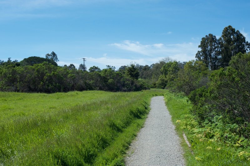 The trail as it follows the road before it breaks off to the left.