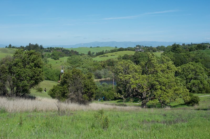 The Arastradero Lake at the bottom of the hill.