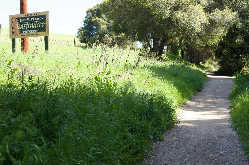 The trail as it enters the preserve and makes its way through the shade of the trees.