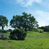 A view coming up from Gate C at the edge of the preserve.