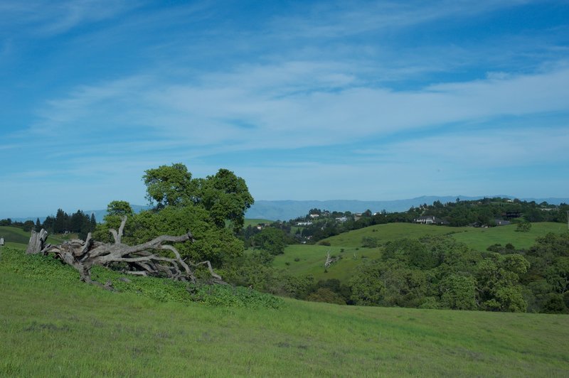 Views of the homes that sit right outside the preserve.