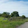 A side trail leads up to the Bowl Loop Trails that run along the hilltop.