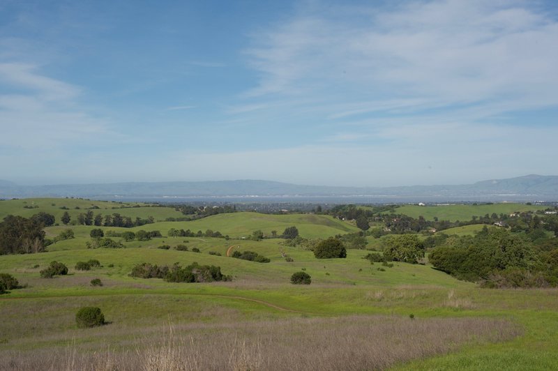 From the hills on this side of the preserve, you can see the trails as they criss cross the preserve.