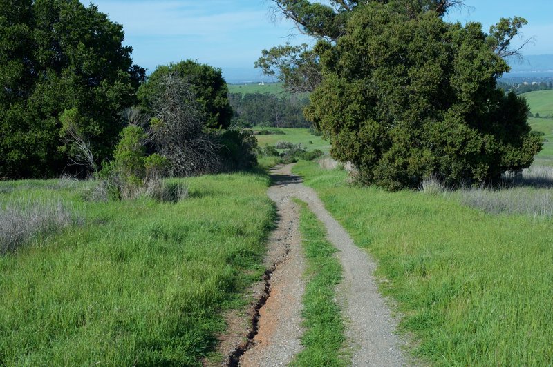 A look back down the hill that you just climbed. The trail is a mix of dirt and gravel at this point.