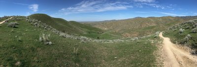 Looking down Corrals Trail, facing north, with the Scott's Trail junction behind us.