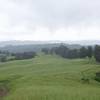 The trail winds along the hills at the edge of the Arastradero Preserve. Clouds hang on the surrounding mountains during a light rainstorm.