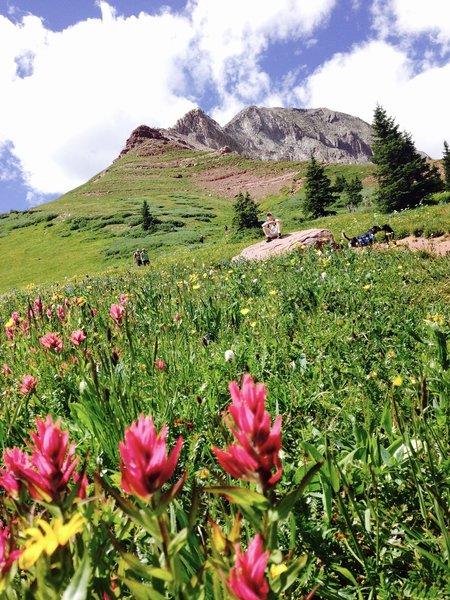 After leaving the forest you enter a meadow and depending on the time of year you may see a field of Paintbrush with Engineer dominating the view above.