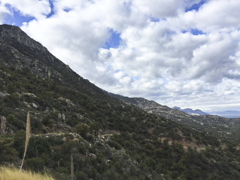 The beautiful Catalina Mountains.