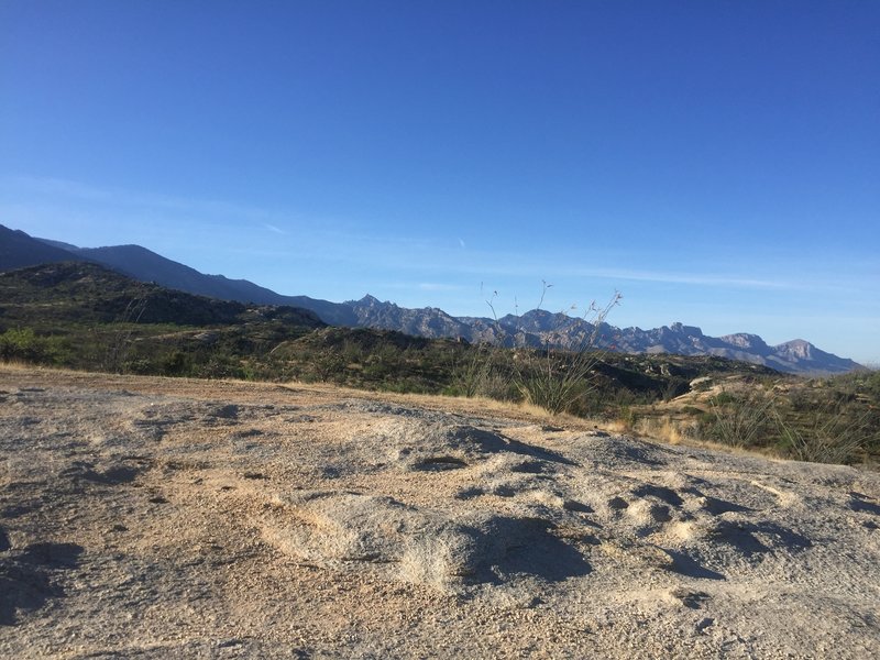 Towering in the distance are the Catalina Mountains as you ascend the front range.