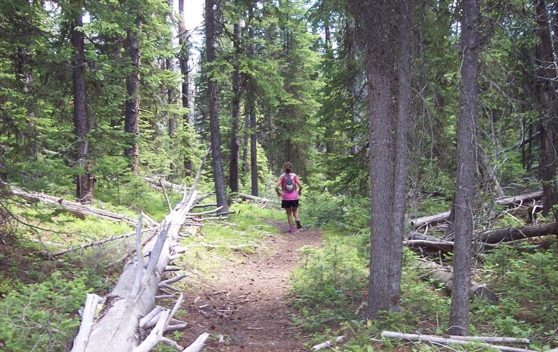 Running down the HURL Elkhorn 50 mile course, approximately 43 miles in.