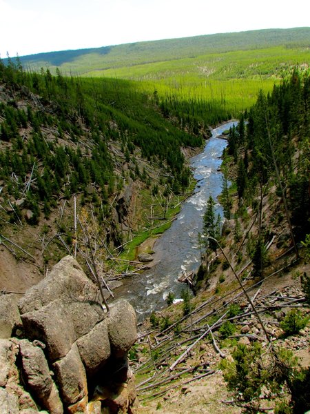 River watching after Gibbon Falls.