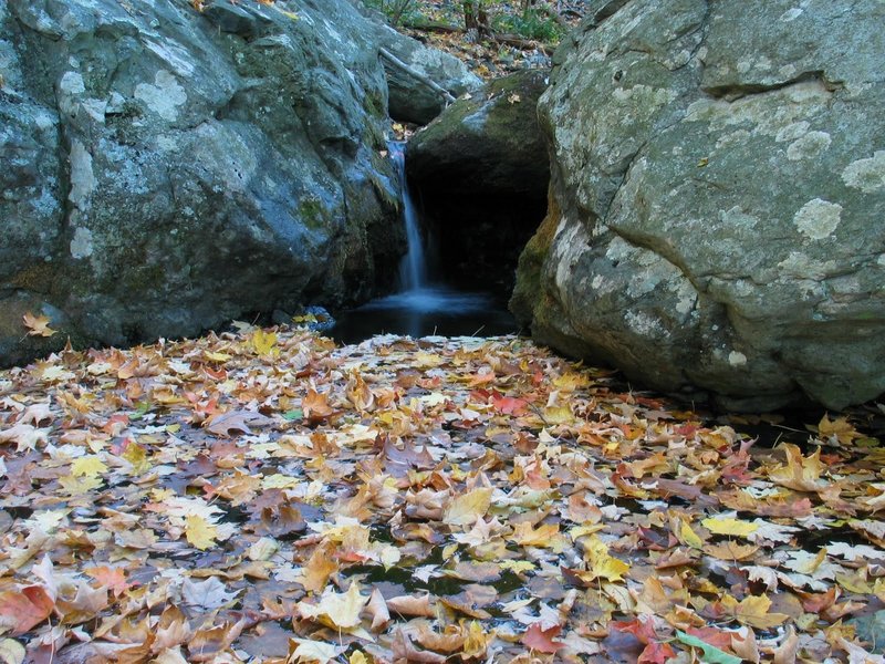 Keyser Run, Little Devils Stairs. with permission from rootboy