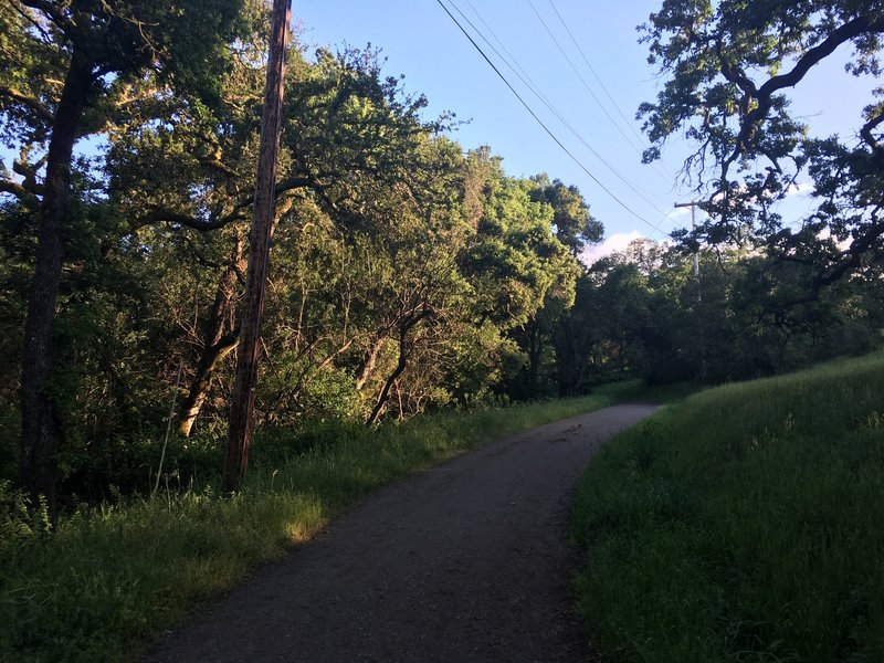 The Arastradero Creek Trail departs from Arastradero Lake and starts climbing up one of the hills.