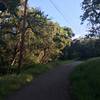 The Arastradero Creek Trail departs from Arastradero Lake and starts climbing up one of the hills.