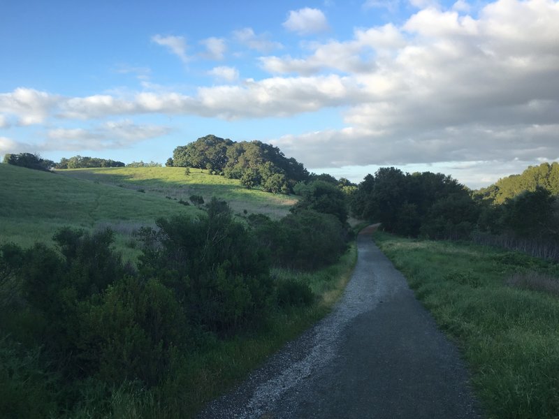 The trail moves through the preserve and is great in the evening after work.