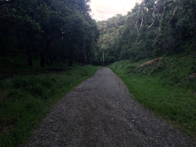 While a steep climb for those on foot and mountain bikers, it makes for a great descent on the way back down the hill. Mountain bikers enjoy this trail.