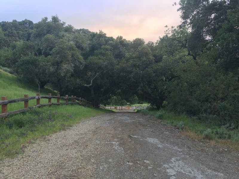 At the top of the hill, the trail drops back down to the boundary of Foothills Park.