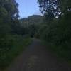 The woods get closer to the trail through this part of the preserve. The gravel trail makes hiking, running, and biking easy all along the trail.