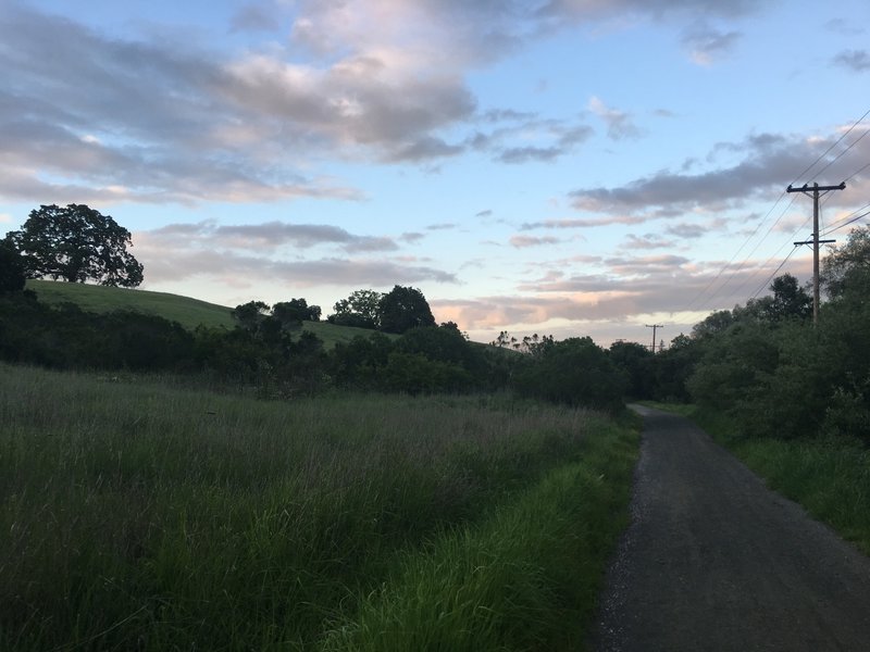 Looking back on the trail, fields open up on one side of the trail while the creek runs down to Arastradero Lake on the other.