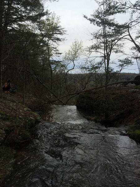 A small creek that flows off the edge along the Fiery Gizzard Trail.