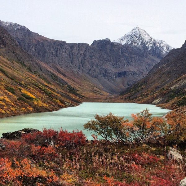 Fall Tundra in Chugach State Park.