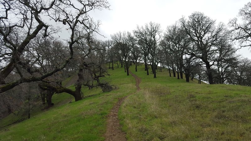 Last little climb to the top of the first tower or A-Frame. You can see the Marshall Road Service road to the left.