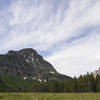 View looking up at Allen Mountain from the Cracker Flats Horse Trail.