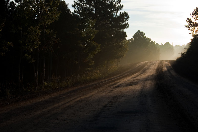 Morning on Gold Hill Road.