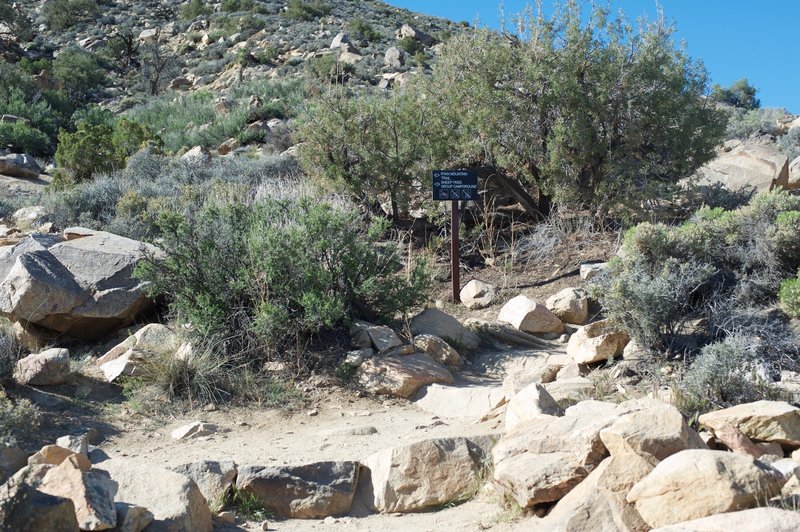 At roughly .3 miles, the trail intersects with the Sheep Pass Trail.
