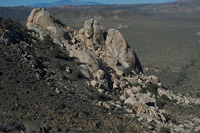 Rocks on the side of Ryan Mountain.