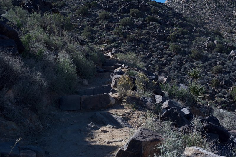 The trail up the mountain is primarily stairs that must be climbed in order to reach the top.