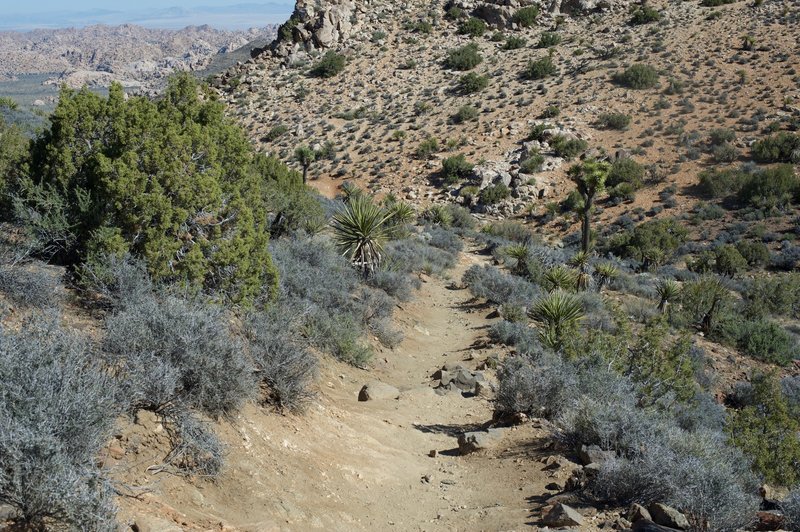 The trail passes through a saddle on the mountain and the trail becomes dirt instead of stairs. The saddle is a good place to rest before continuing your ascent.