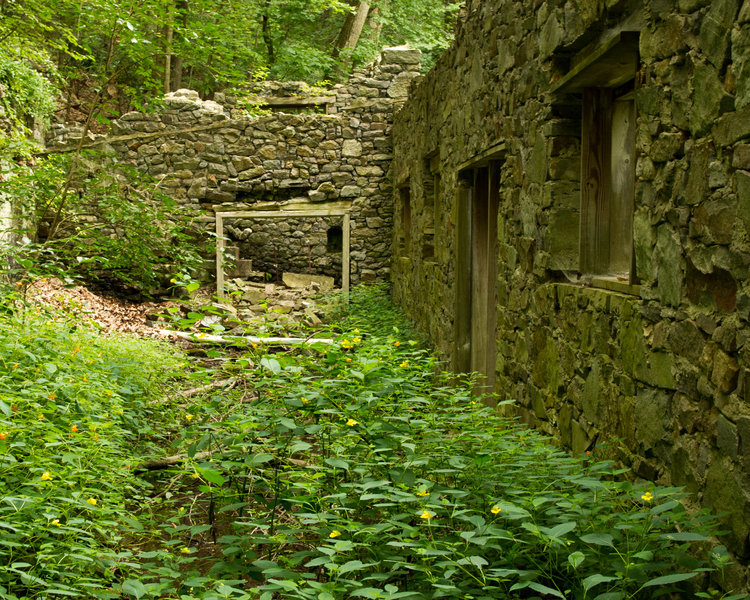 A peek into the Colonial Springs Water Bottling Plant.