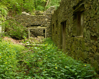A peek into the Colonial Springs Water Bottling Plant.