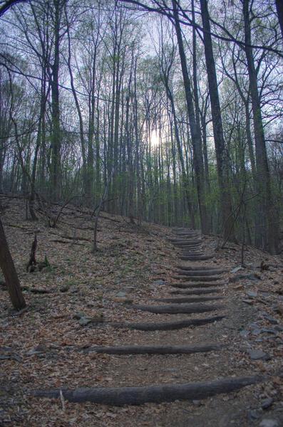 Trail on Mt. Misery, Valley Forge.