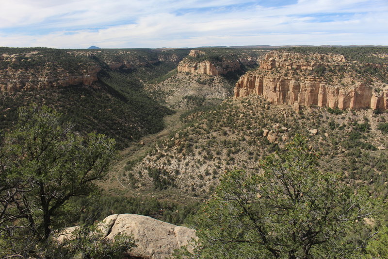 View of the canyon from the top of the Petroglyph Point Trail.