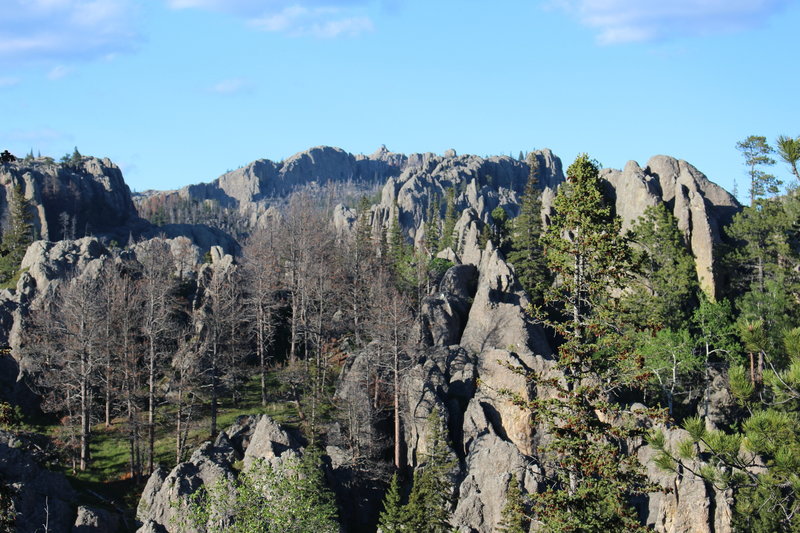 Looking at the Harney Peak Fire Tower from the Harney Peak Trail #9.