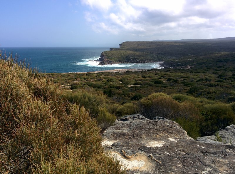 Coast Track scenery.