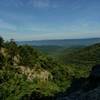 Overall Run at the Lower Falls Overlook.