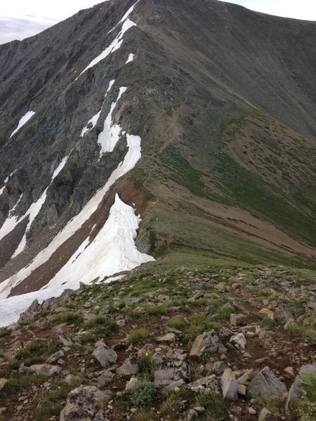 Grizzly Peak makes for a tough test on the way to Grey's and Torrey's Peaks.