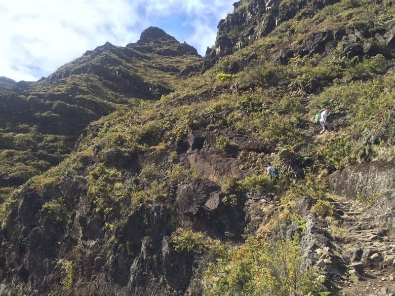 Ascending from Ko'olau Gap on Halemau'u Trail.