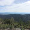 Piece of the view from the top: Redding behind/left of the ridge, Lassen on the horizon.