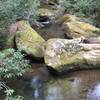 Clear water of the Fall Branch to the Big South Fork.