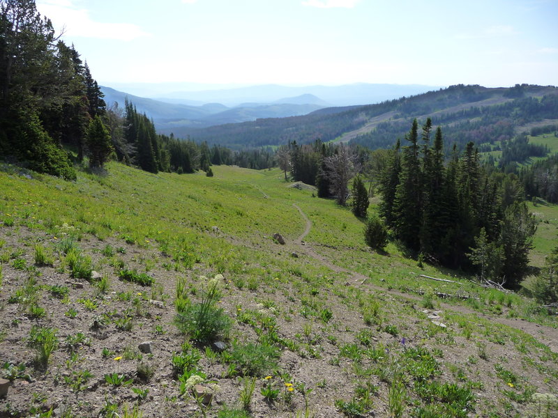 Looking east near Electric Divide on the Sportsman Lake Trail.