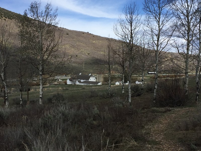 McPolin Barn - view from trailhead.