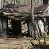 The remains of the Pocosin Mission house.